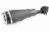 Air Suspension Strut - V48-50-0001