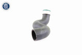 Charge Air Hose - V10-3825