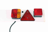 Tail Light Assembly Set - V98-66007