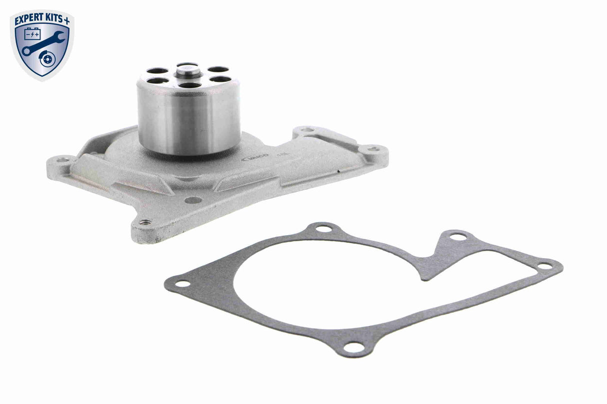 Water Pump & Timing Belt Kit - V46-50028
