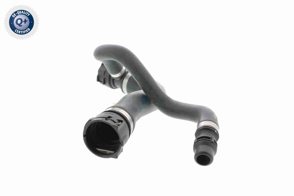 Radiator Hose - V20-1768