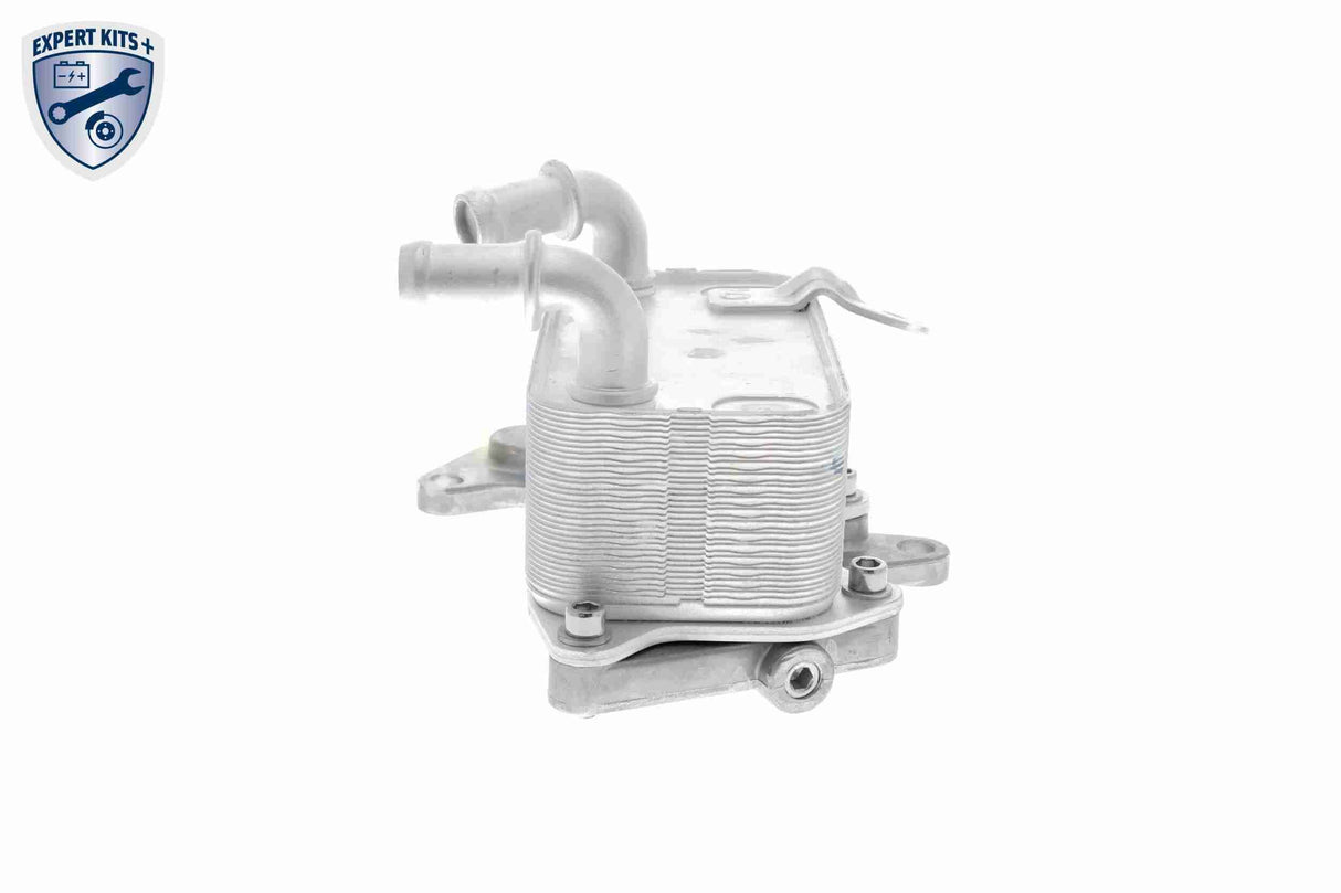 Oil Cooler, engine oil - V15-60-6073