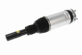 Air Suspension Strut - V48-50-0017