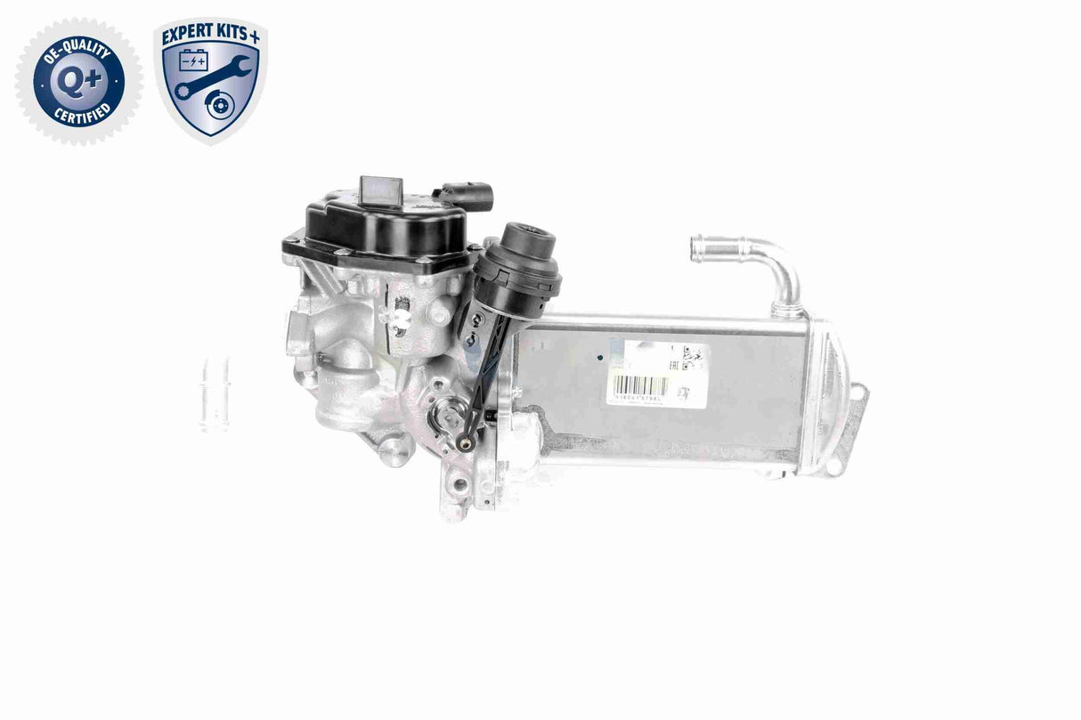 EGR Module - V10-63-0050