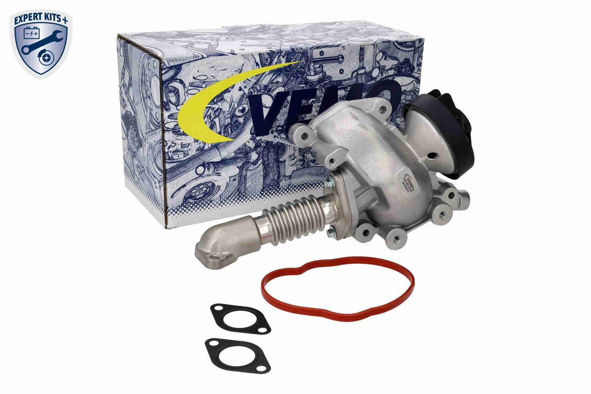Valve, exhaust gas recirculation - V30-63-0004