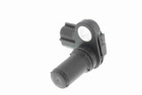 Sensor, wheel speed - V25-72-1235