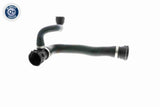 Radiator Hose - V20-1284