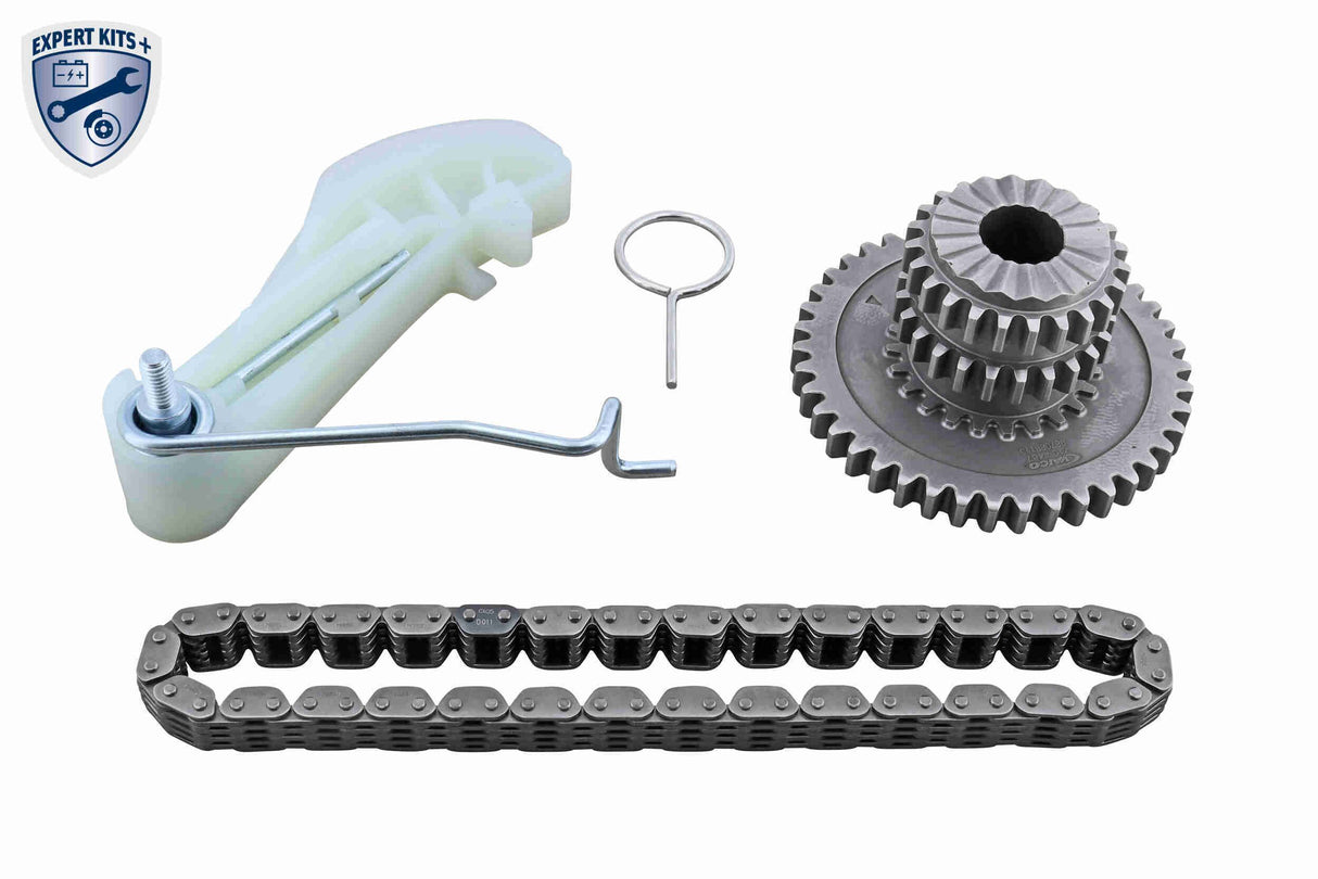 Chain Kit, oil pump drive - V10-5855