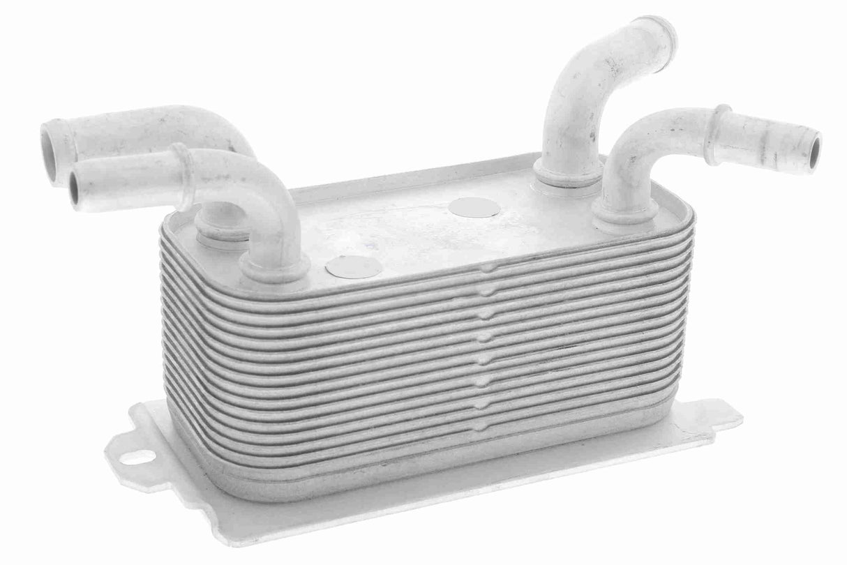 Oil Cooler, engine oil - V95-60-0007