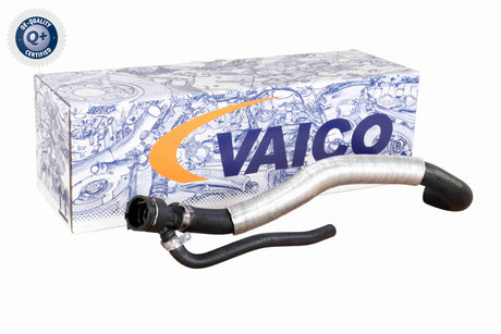 Radiator Hose - V10-4863
