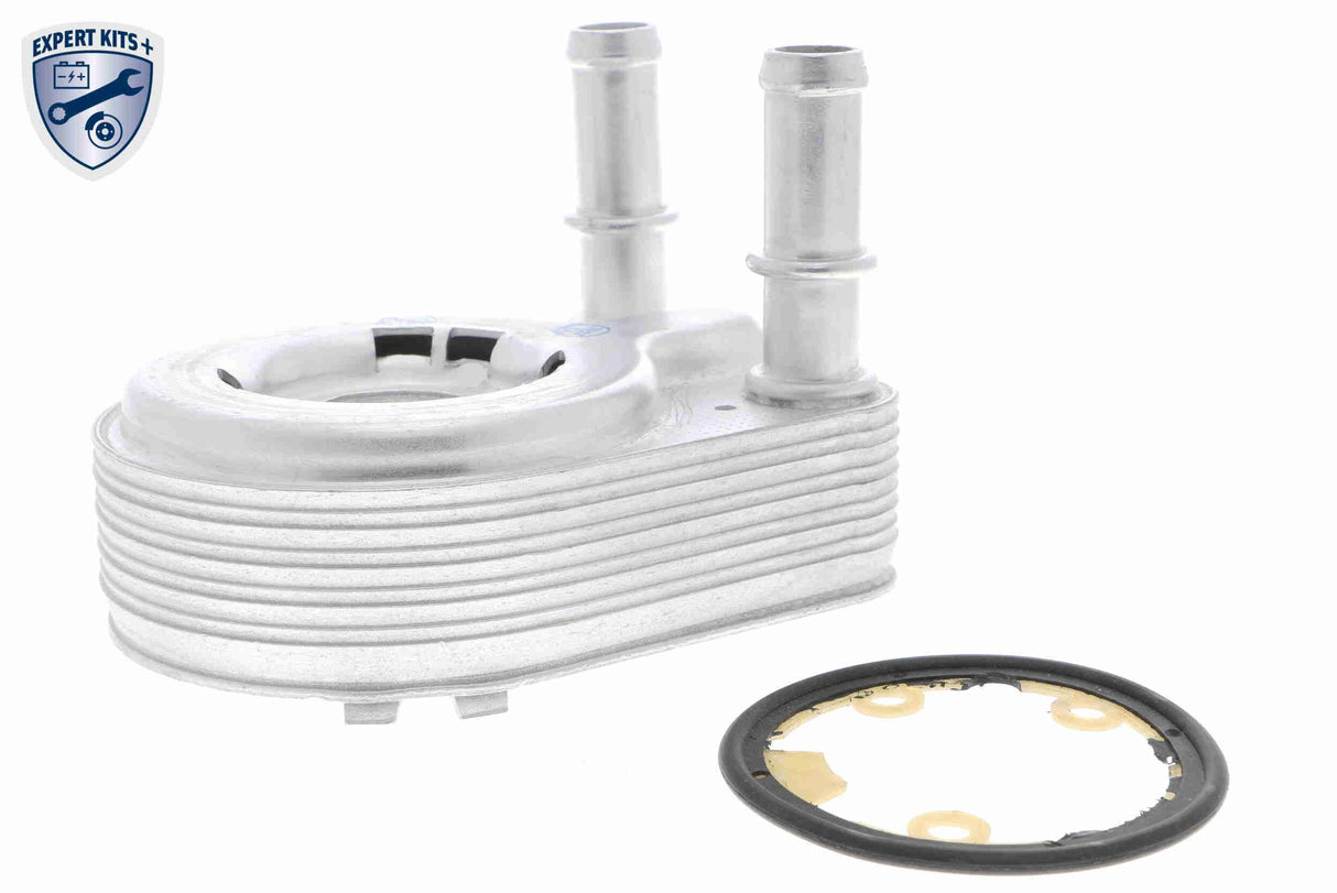Oil Cooler, engine oil - V24-60-0021