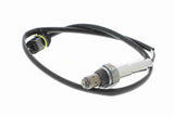 Oxygen Sensor - V30-76-0003
