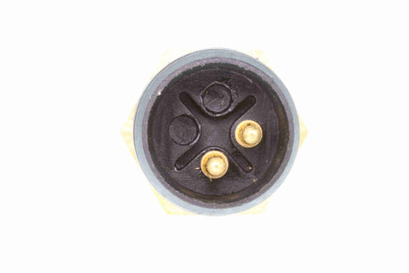 Sensor, coolant temperature - V30-99-0079