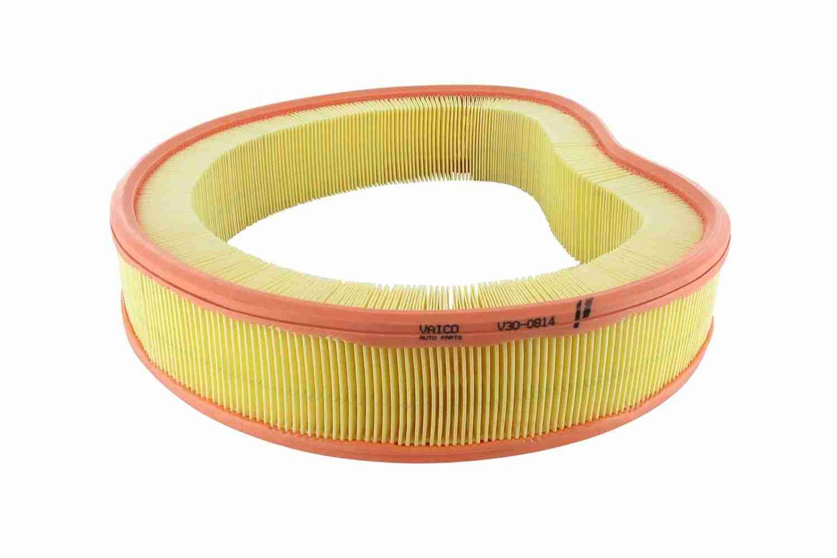 Air Filter - V30-0814