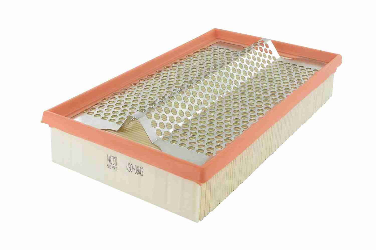 Air Filter - V30-0843