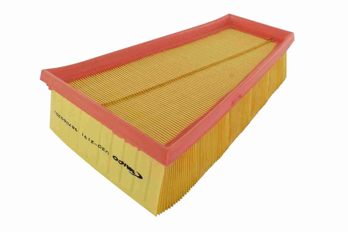 Air Filter - V30-2191