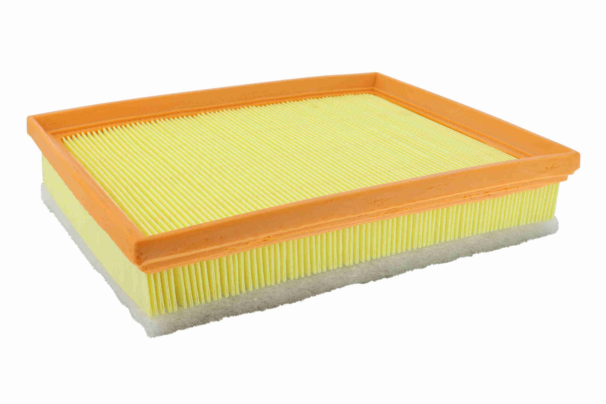 Air Filter - V42-0890