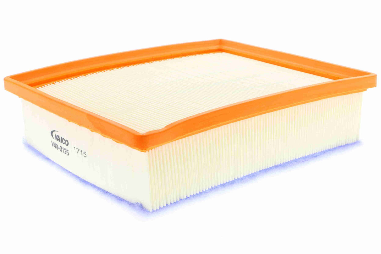 Air Filter - V40-0125