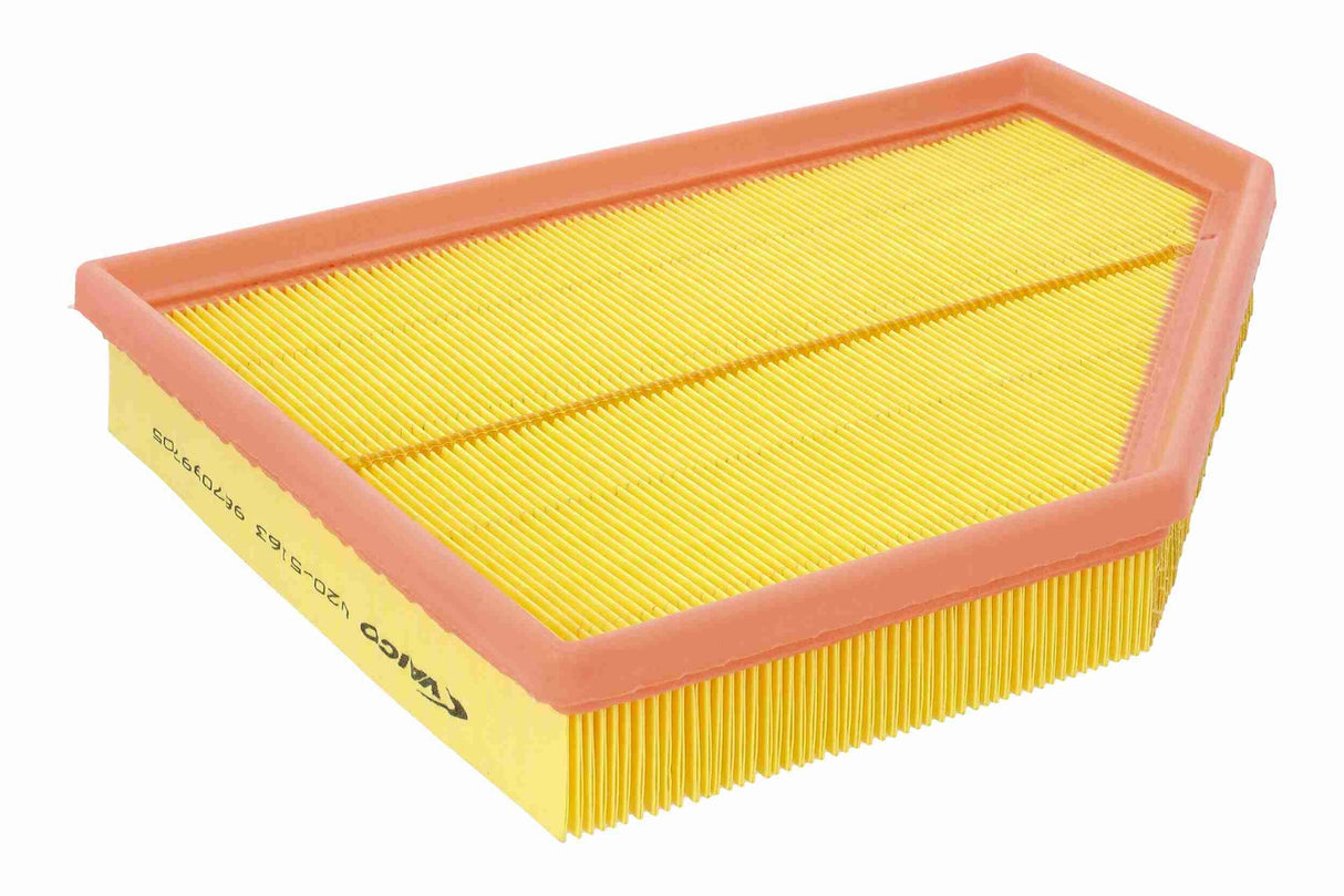 Air Filter - V20-5163