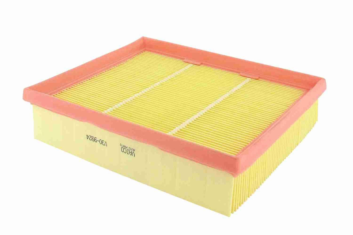 Air Filter - V30-9924