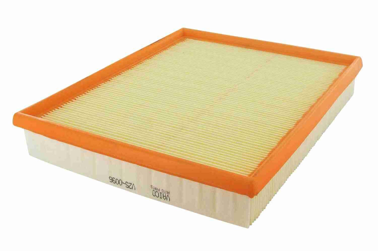 Air Filter - V25-0096