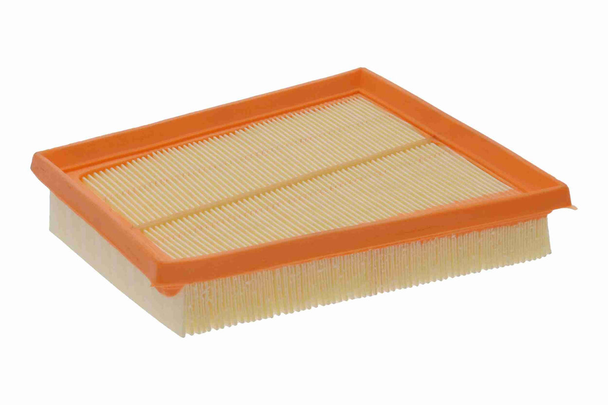 Air Filter - V25-0189