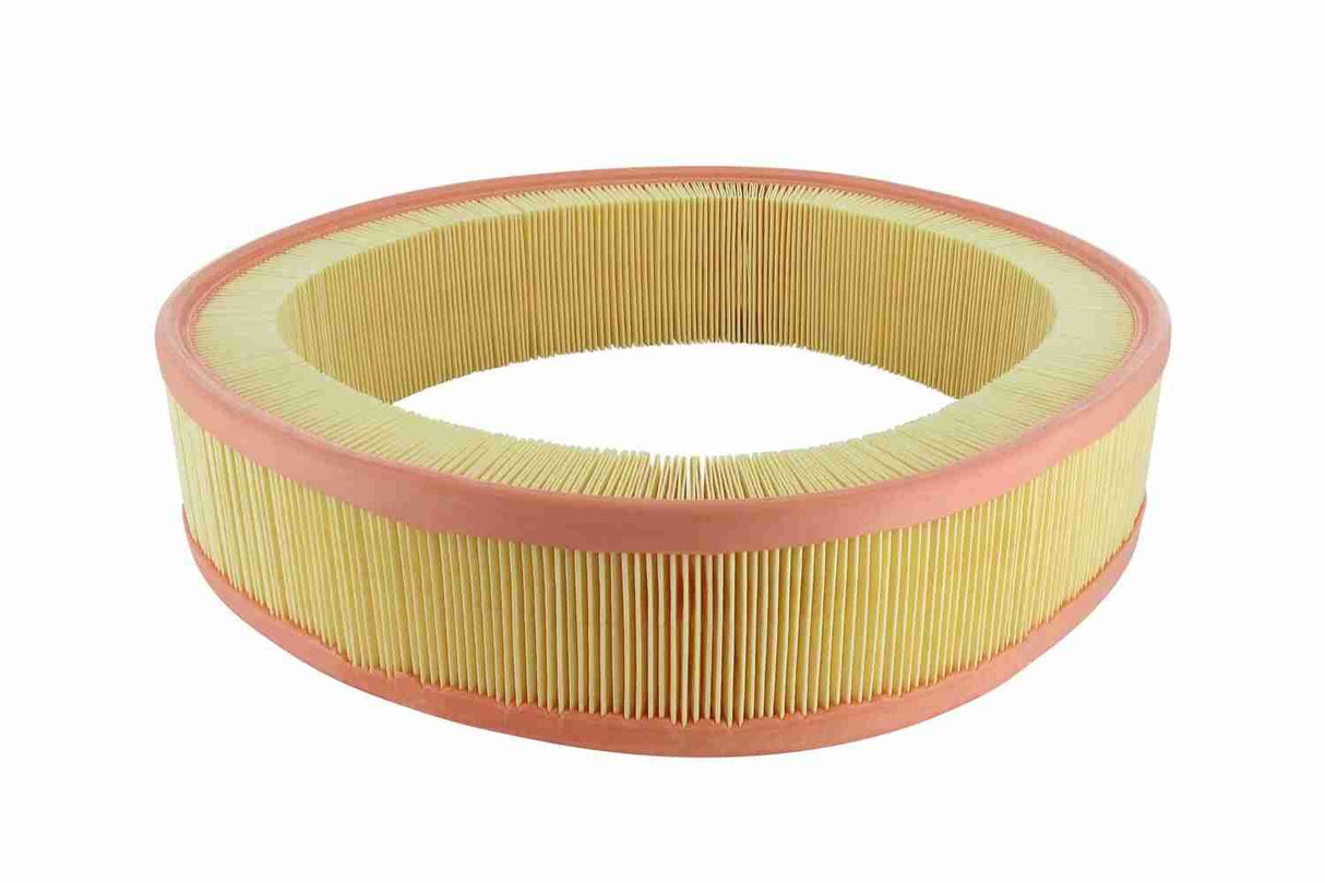 Air Filter - V30-0817