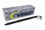 Electric Motor, tailgate - V51-55-0005