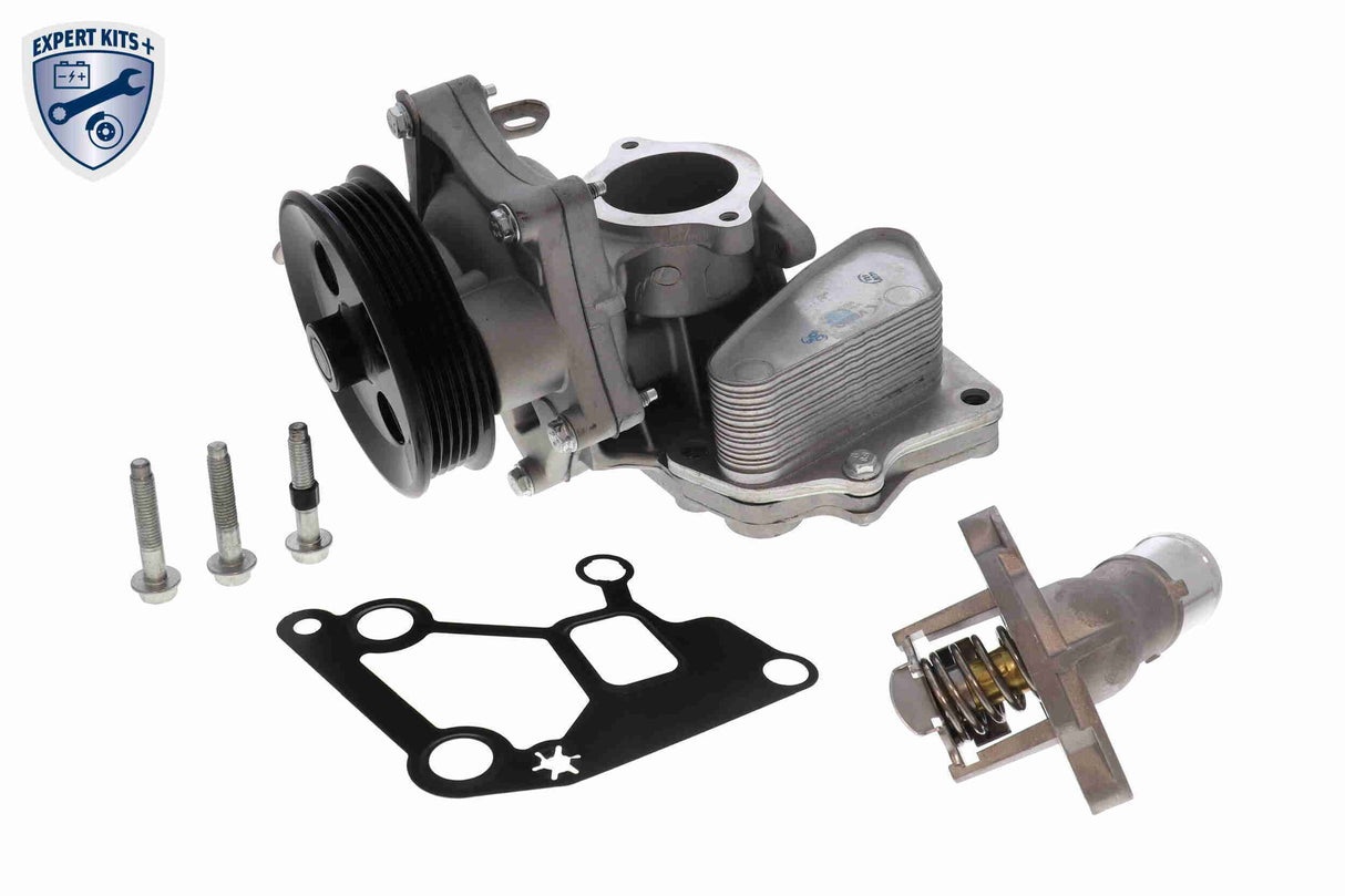 Oil Cooler, engine oil - V40-60-2129-1