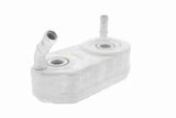 Oil Cooler, engine oil - V15-60-6024