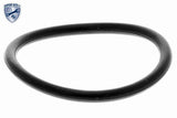 Thermostat, coolant - V25-99-1736