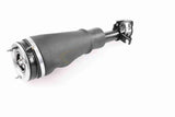 Air Suspension Strut - V48-50-0001