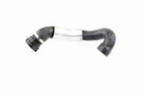 Radiator Hose - V20-2312
