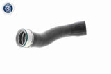 Charge Air Hose - V20-1625
