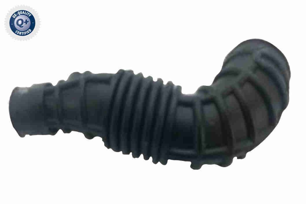 Intake Hose, air filter - V40-2191