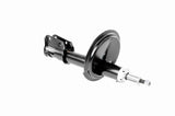 Shock Absorber - V24-0155