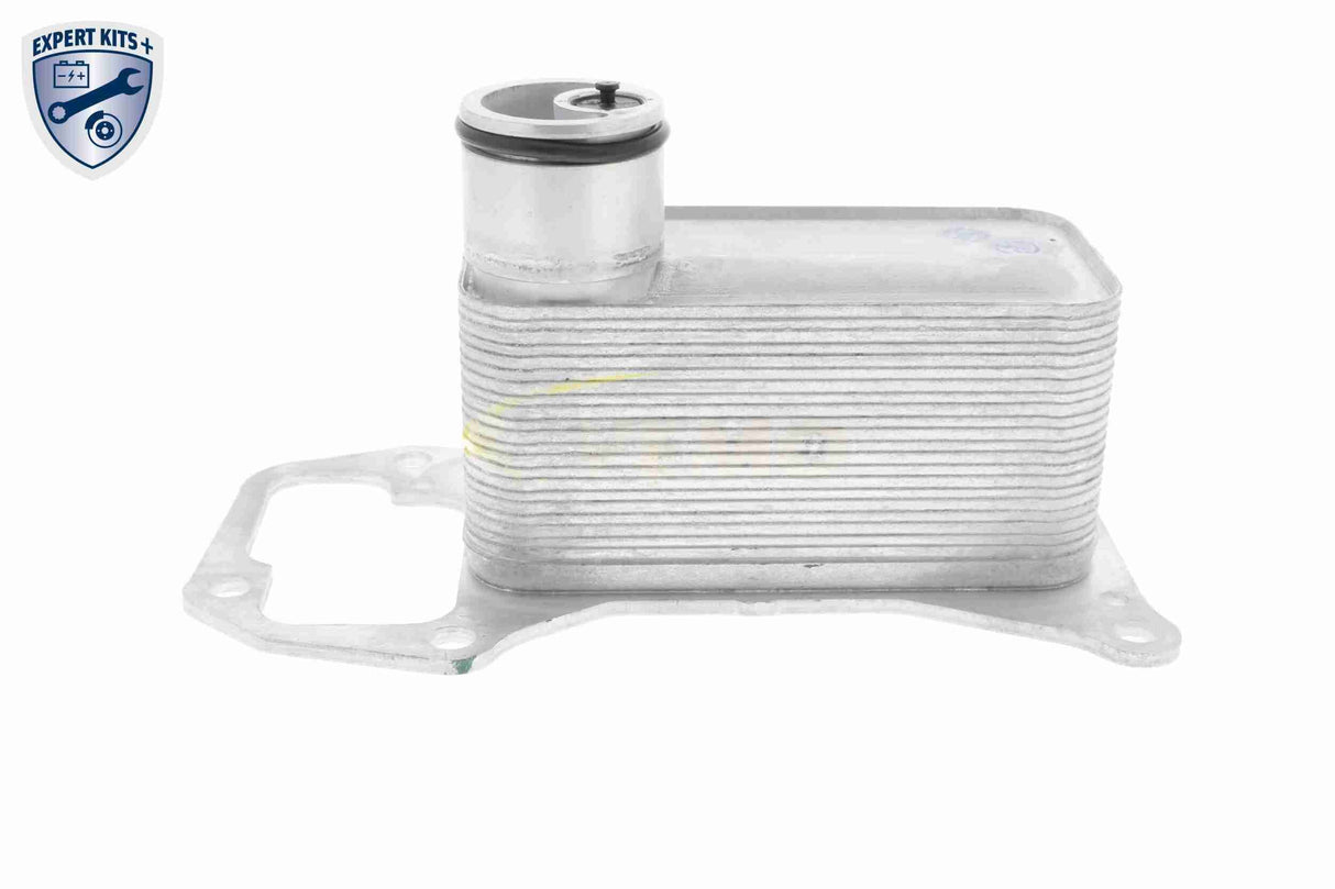 Oil Cooler, engine oil - V20-60-0056