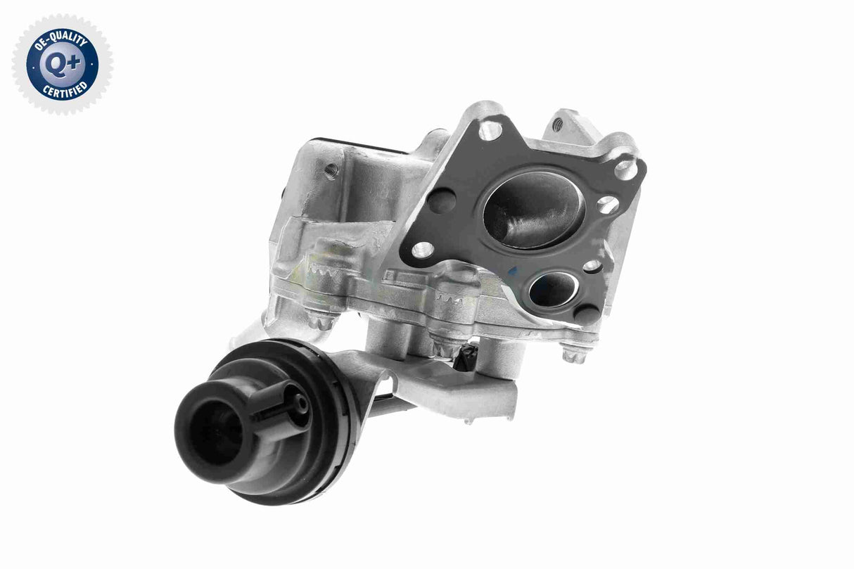 Valve, exhaust gas recirculation - V30-63-0080