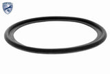 Oil Cooler, engine oil - V48-60-0028