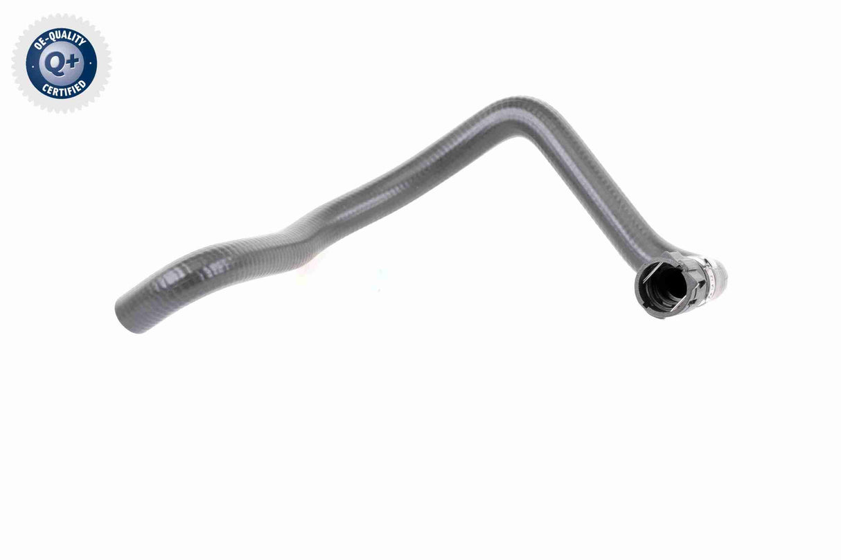Radiator Hose - V10-2809