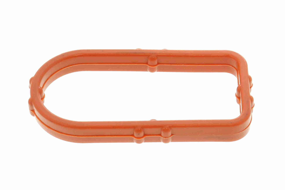 Gasket, oil cooler - V15-60-96065