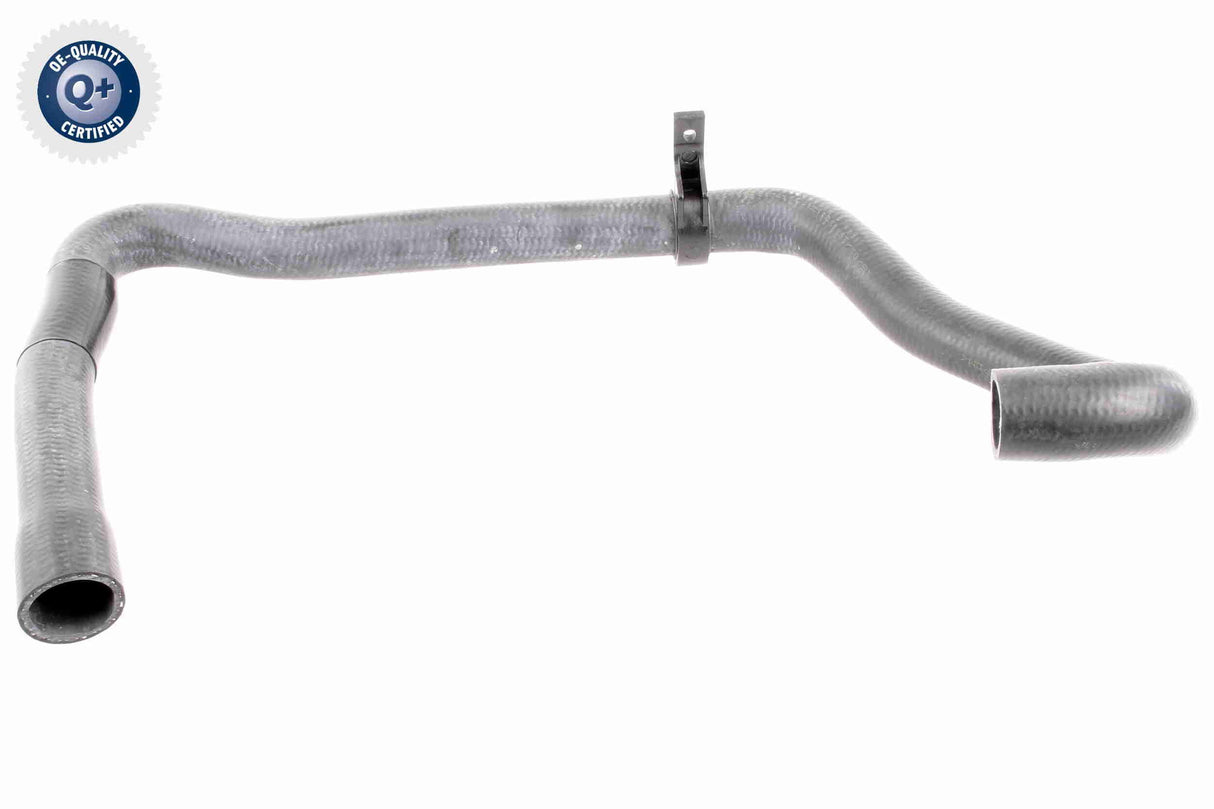 Radiator Hose - V42-0665