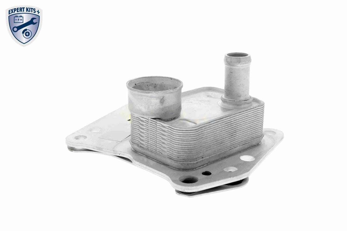 Oil Cooler, engine oil - V30-60-0008