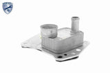 Oil Cooler, engine oil - V30-60-0008