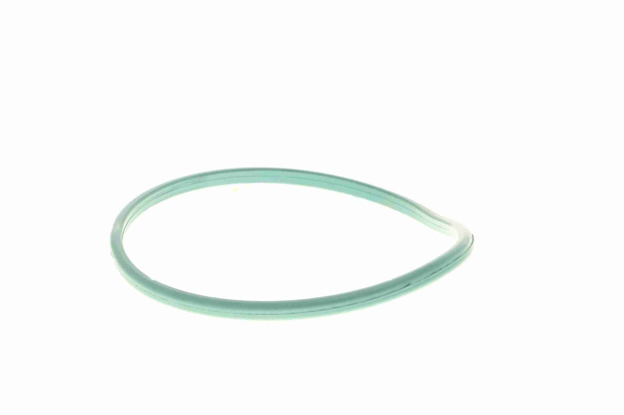 Seal, fuel sender unit - V24-09-0053