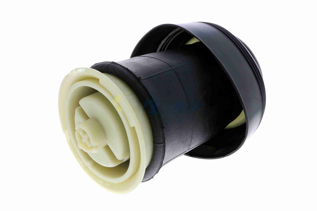 Air Suspension Strut - V20-50-0010-1