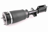 Air Suspension Strut - V20-50-0025