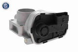Throttle Body - V24-81-0011