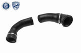 Charge Air Hose - V20-1613