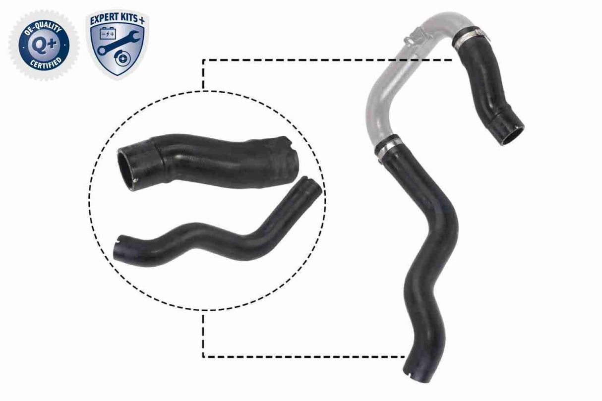Charge Air Hose - V24-0731